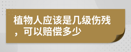 植物人應(yīng)該是幾級傷殘，可以賠償多少
