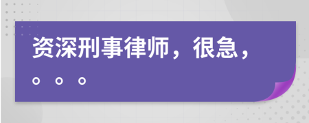 資深刑事律師，很急，。。。