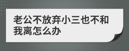 老公不放棄小三也不和我離怎么辦