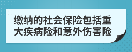 繳納的社會保險包括重大疾病險和意外傷害險