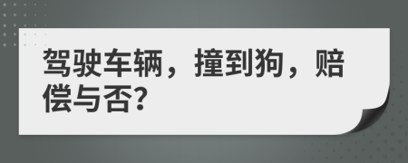 駕駛車輛，撞到狗，賠償與否？