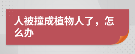 人被撞成植物人了，怎么辦
