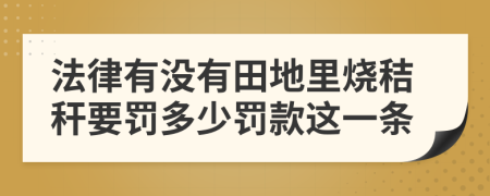 法律有沒有田地里燒秸稈要罰多少罰款這一條
