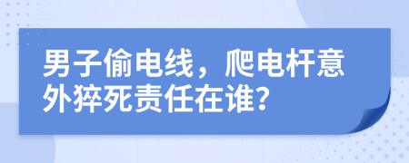 男子偷電線，爬電桿意外猝死責(zé)任在誰(shuí)？