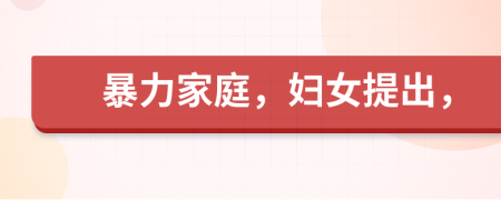 暴力家庭，婦女提出，