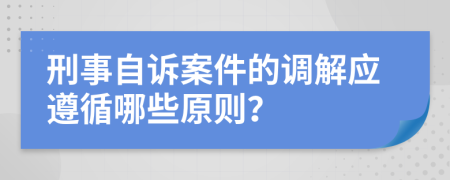 刑事自訴案件的調解應遵循哪些原則？