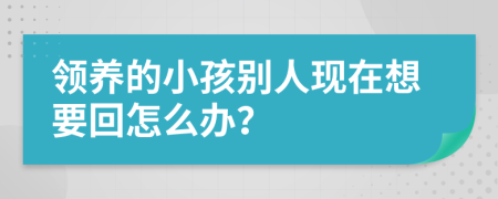 領(lǐng)養(yǎng)的小孩別人現(xiàn)在想要回怎么辦？