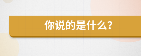 你說的是什么？