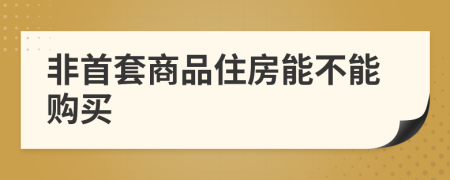 非首套商品住房能不能購買