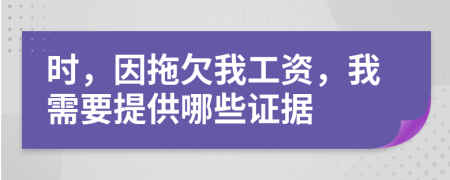 時，因拖欠我工資，我需要提供哪些證據(jù)
