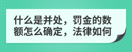 什么是并處，罰金的數(shù)額怎么確定，法律如何