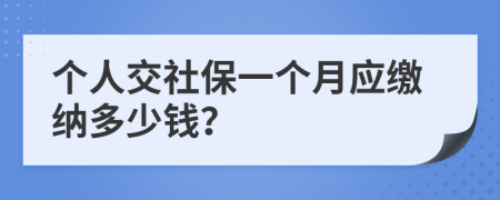 個人交社保一個月應繳納多少錢？