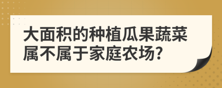 大面積的種植瓜果蔬菜屬不屬于家庭農(nóng)場?