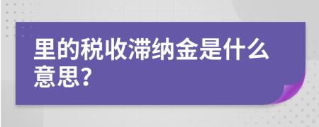 里的稅收滯納金是什么意思？