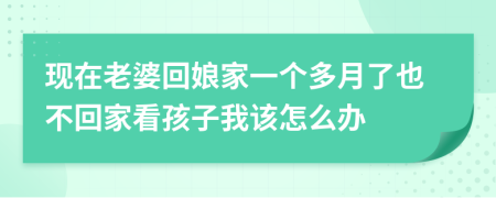 現(xiàn)在老婆回娘家一個多月了也不回家看孩子我該怎么辦