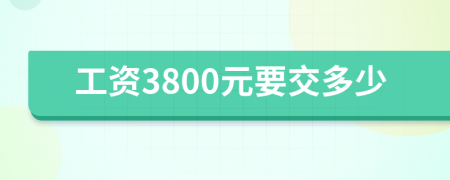 工資3800元要交多少