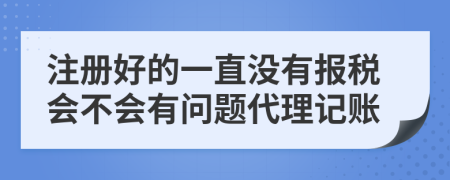 注冊好的一直沒有報稅會不會有問題代理記賬