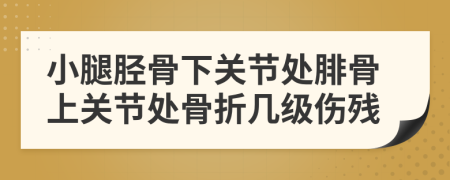 小腿脛骨下關(guān)節(jié)處腓骨上關(guān)節(jié)處骨折幾級(jí)傷殘