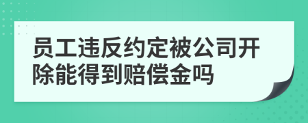 員工違反約定被公司開除能得到賠償金嗎