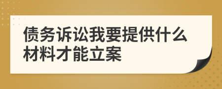 債務(wù)訴訟我要提供什么材料才能立案