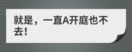 就是，一直A開庭也不去！