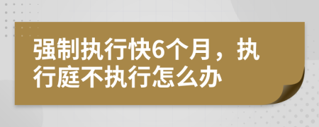 強制執(zhí)行快6個月，執(zhí)行庭不執(zhí)行怎么辦