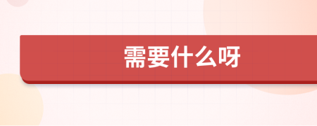 需要什么呀