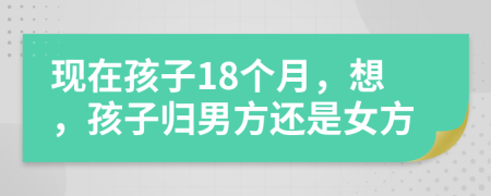 現(xiàn)在孩子18個月，想，孩子歸男方還是女方