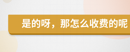 是的呀，那怎么收費(fèi)的呢