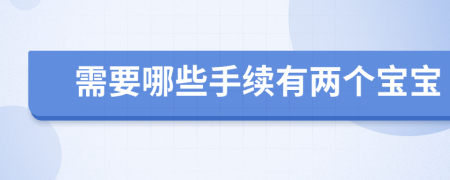 需要哪些手續(xù)有兩個(gè)寶寶