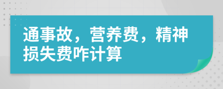 通事故，營(yíng)養(yǎng)費(fèi)，精神損失費(fèi)咋計(jì)算