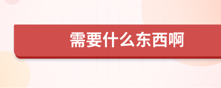 需要什么東西啊