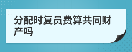 分配時(shí)復(fù)員費(fèi)算共同財(cái)產(chǎn)嗎