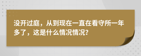 沒(méi)開(kāi)過(guò)庭，從到現(xiàn)在一直在看守所一年多了，這是什么情況情況？