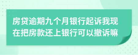 房貸逾期九個月銀行起訴我現(xiàn)在把房款還上銀行可以撤訴嘛