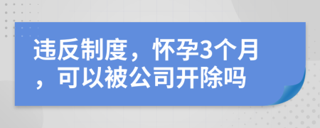 違反制度，懷孕3個(gè)月，可以被公司開除嗎