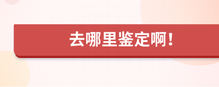 去哪里鑒定啊！