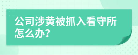 公司涉黃被抓入看守所怎么辦？