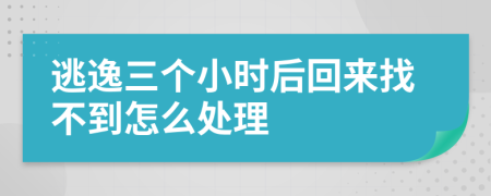 逃逸三個(gè)小時(shí)后回來找不到怎么處理