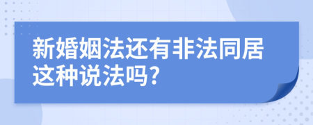 新婚姻法還有非法同居這種說法嗎?