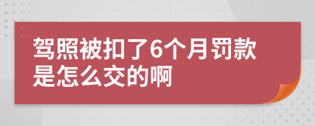 駕照被扣了6個(gè)月罰款是怎么交的啊