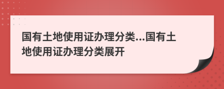 國(guó)有土地使用證辦理分類...國(guó)有土地使用證辦理分類展開