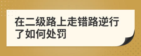 在二級路上走錯(cuò)路逆行了如何處罰