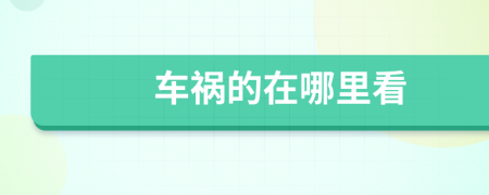 車禍的在哪里看