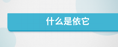 什么是依它