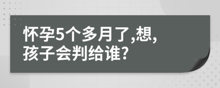 懷孕5個多月了,想,孩子會判給誰?