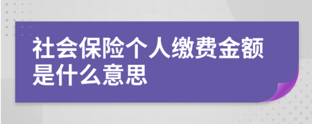 社會保險個人繳費金額是什么意思