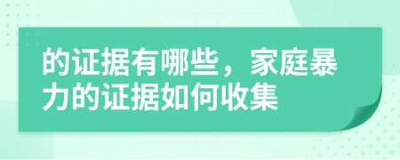 的證據(jù)有哪些，家庭暴力的證據(jù)如何收集