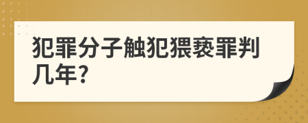 犯罪分子觸犯猥褻罪判幾年?