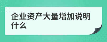 企業(yè)資產(chǎn)大量增加說明什么